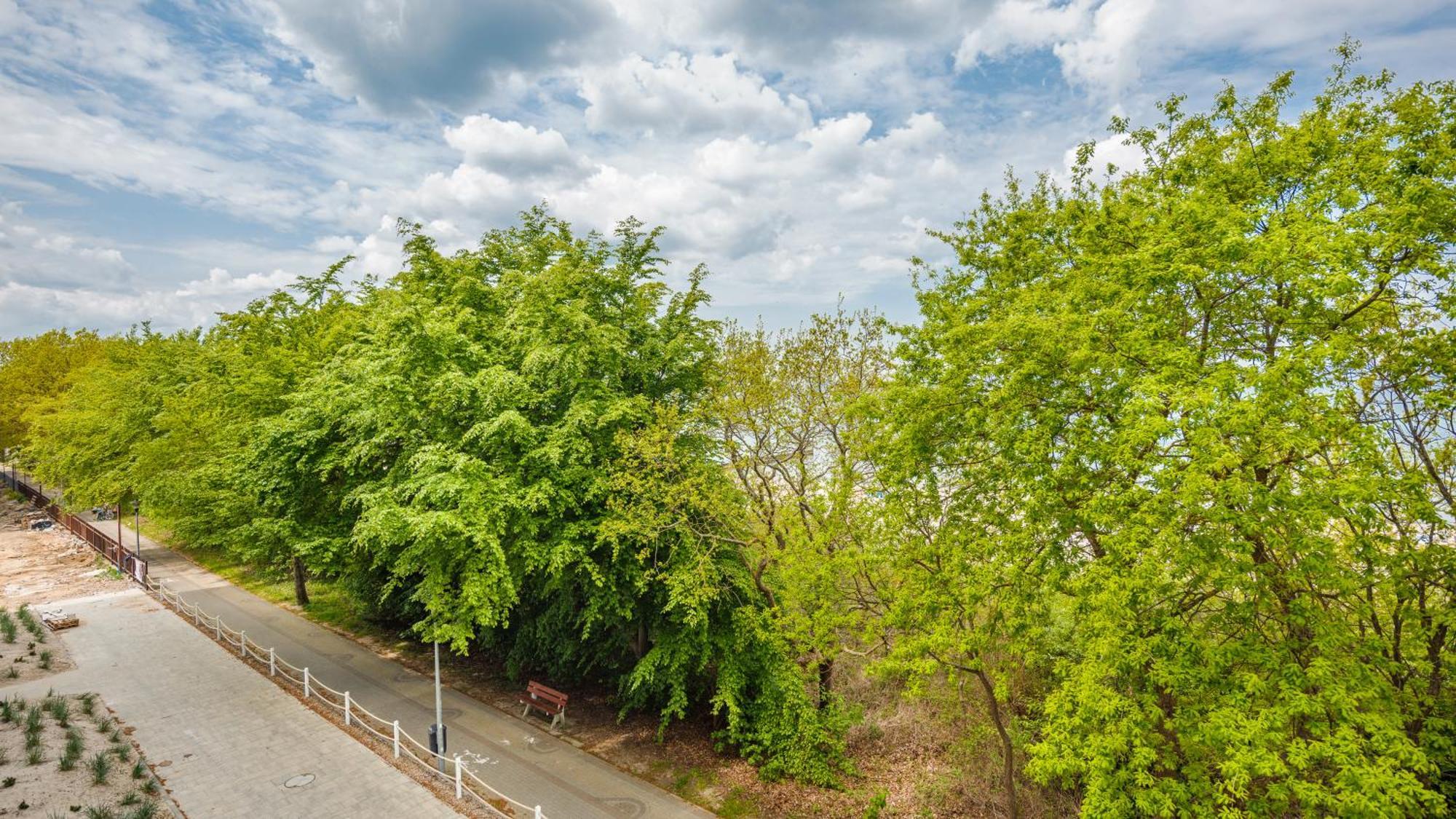 Lazurowe Wybrzeze Z Widokiem Na Morze - Perlowa Przystan - Holiday City Sianożęty Exterior foto